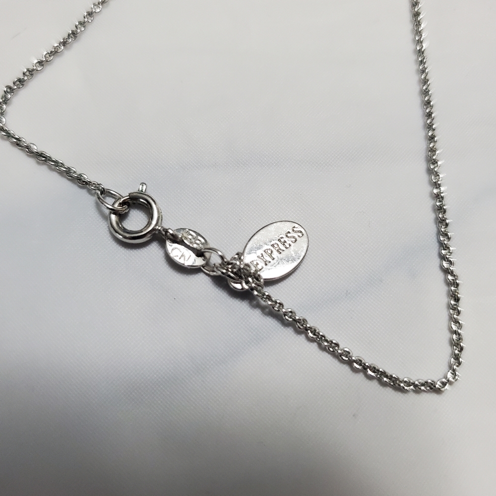 Express Silver Rectangle Necklace - Picture 3 of 5